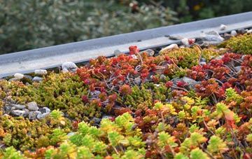 the cost of Bailanloan green roof installation