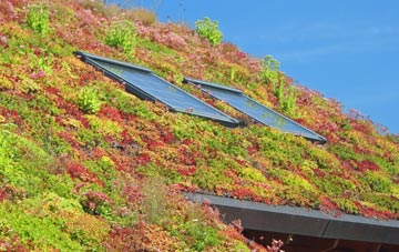 Bailanloan living roof systems